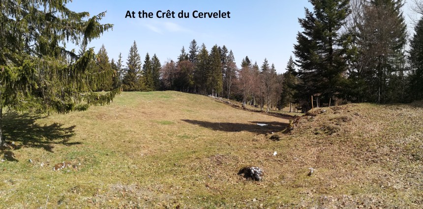 IMG_20190422_114008-A