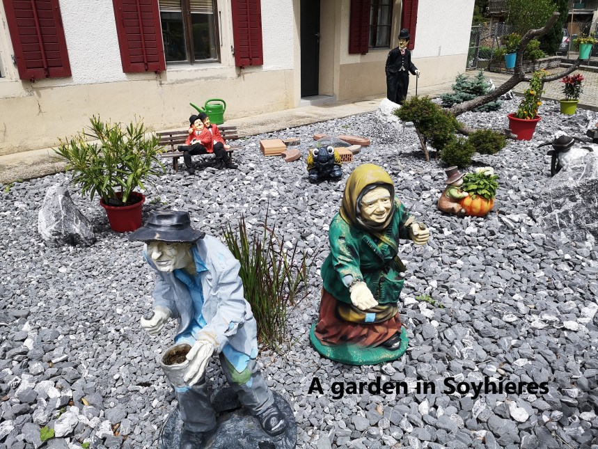 IMG_20190616_125508-A