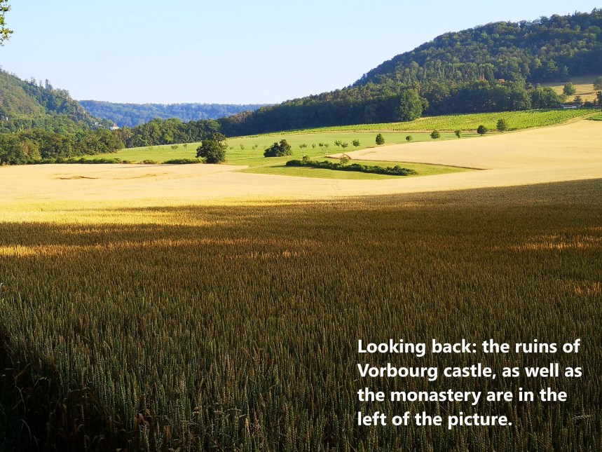 IMG_20190714_074641 A