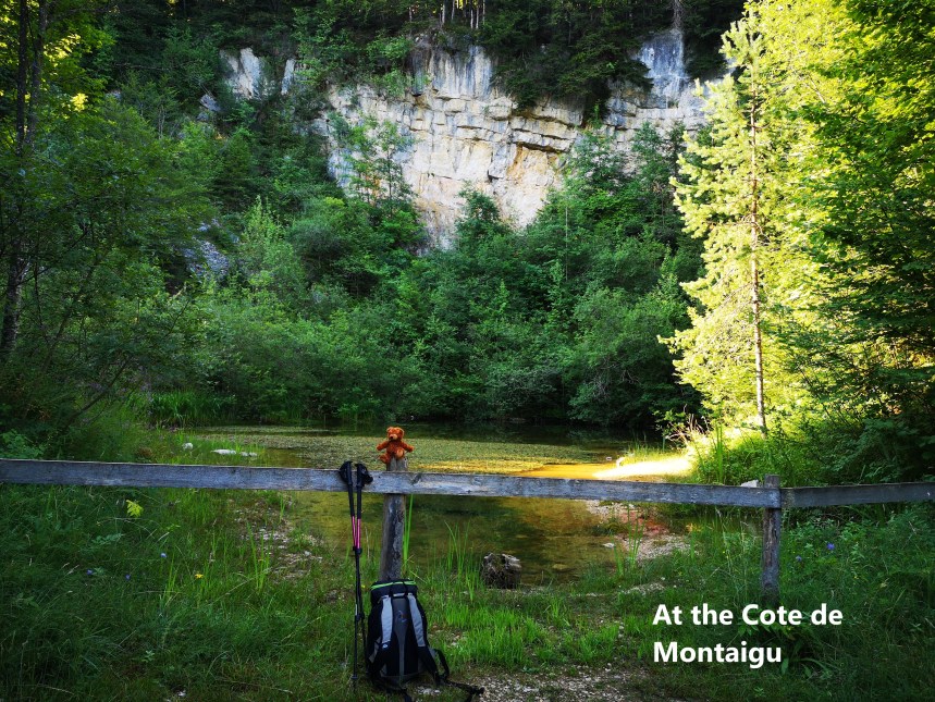 IMG_20190801_082909-A