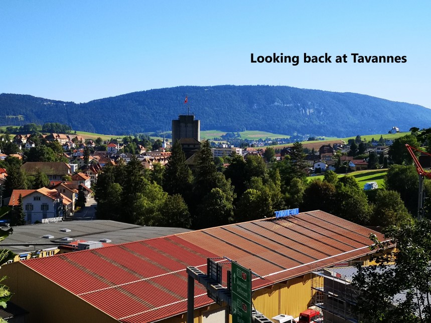 IMG_20190818_090334-A