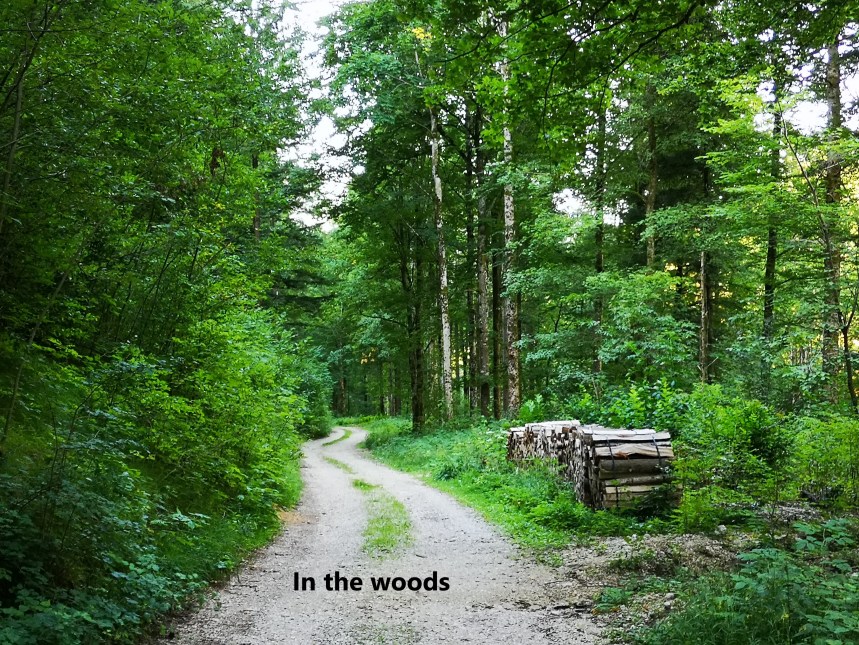 IMG_20190818_092826-A