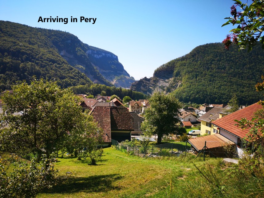 IMG_20190818_111730-A