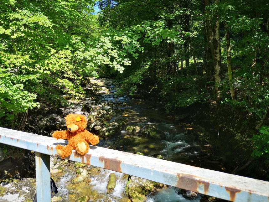 IMG_20190818_120422-A