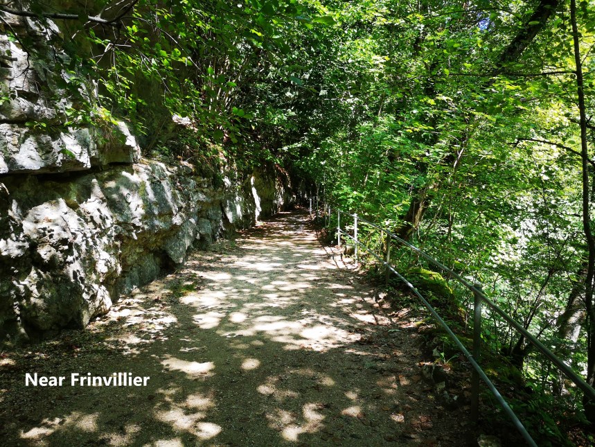 IMG_20190818_122106-A