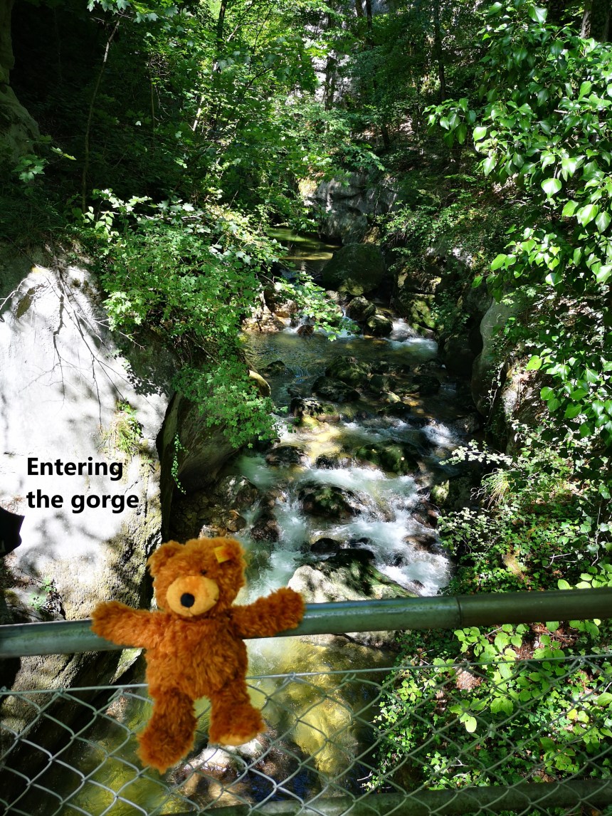 IMG_20190818_122917-A