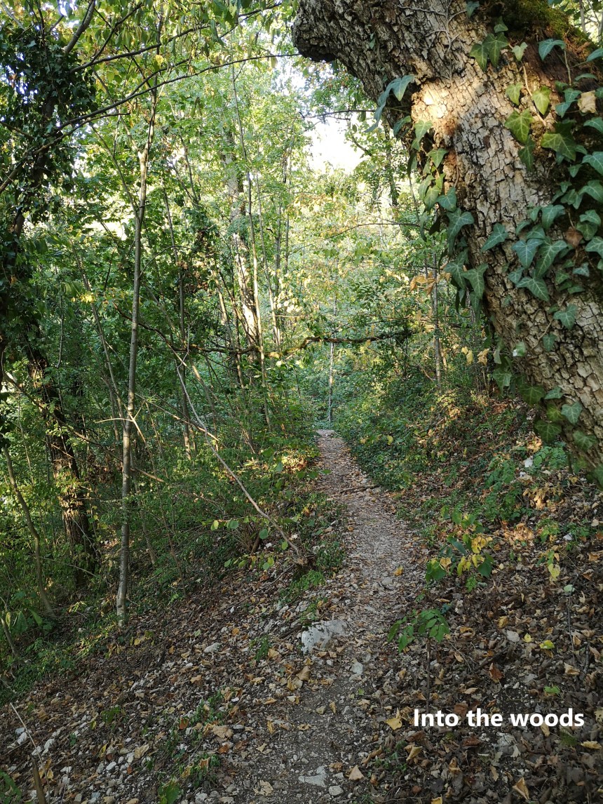 IMG_20190921_081749A