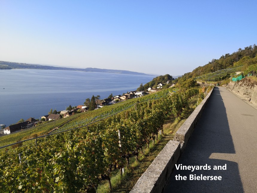 IMG_20190921_090542A