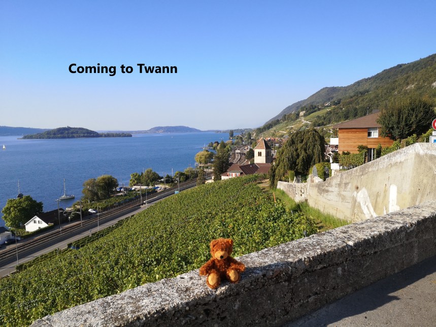 IMG_20190921_095235A