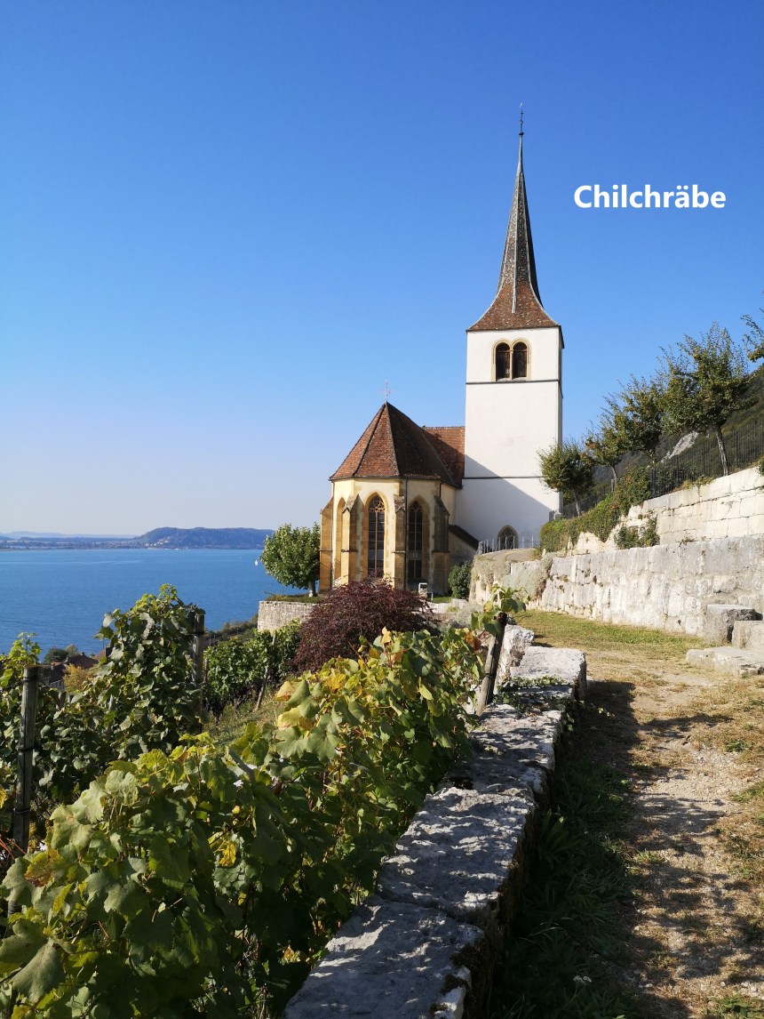 IMG_20190921_102740A