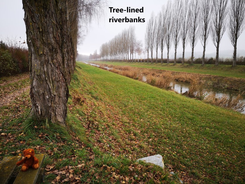 IMG_20191205_104719-A