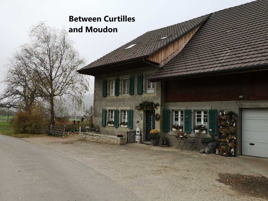 IMG_20191205_130026-A