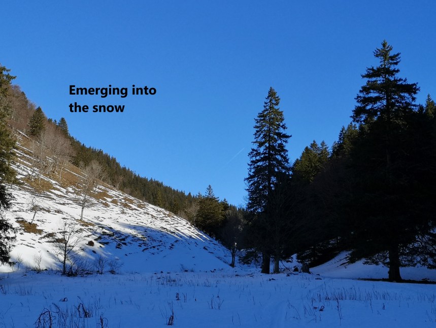 IMG_20200105_121138A