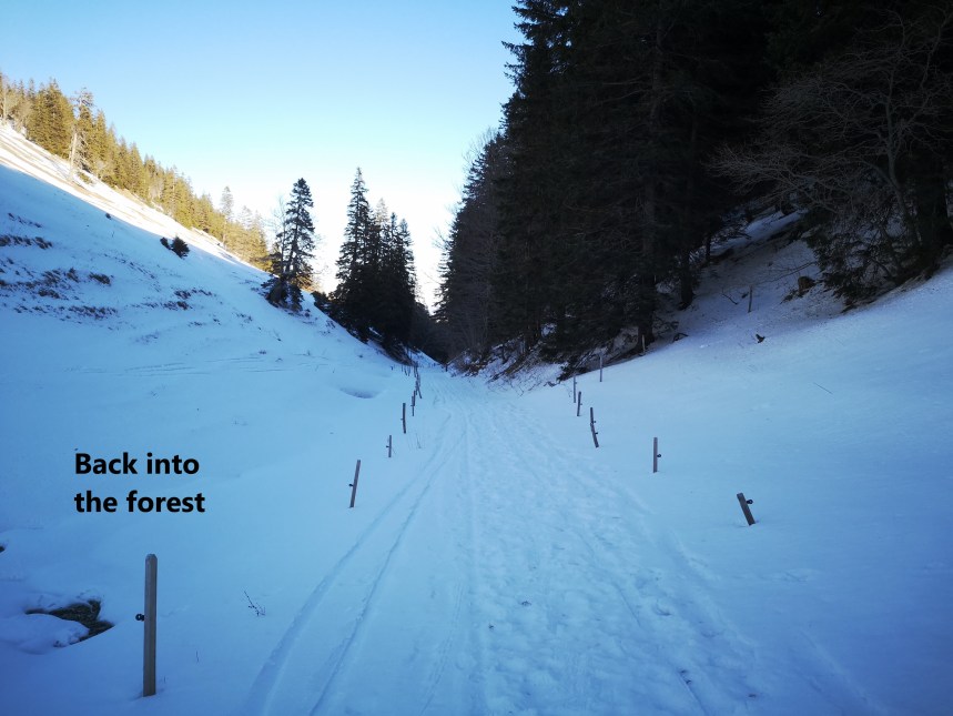 IMG_20200105_145219A