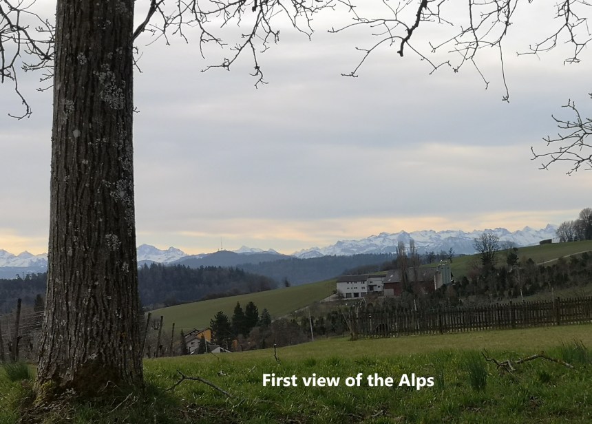 IMG_20200216_090241 (2)