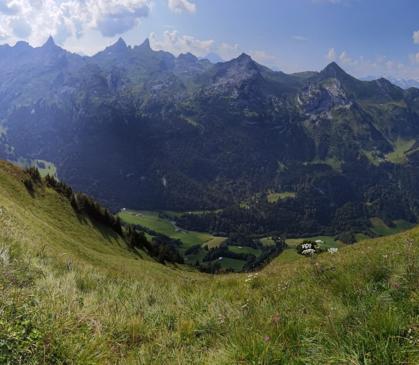 IMG_20200801_104226 (2)